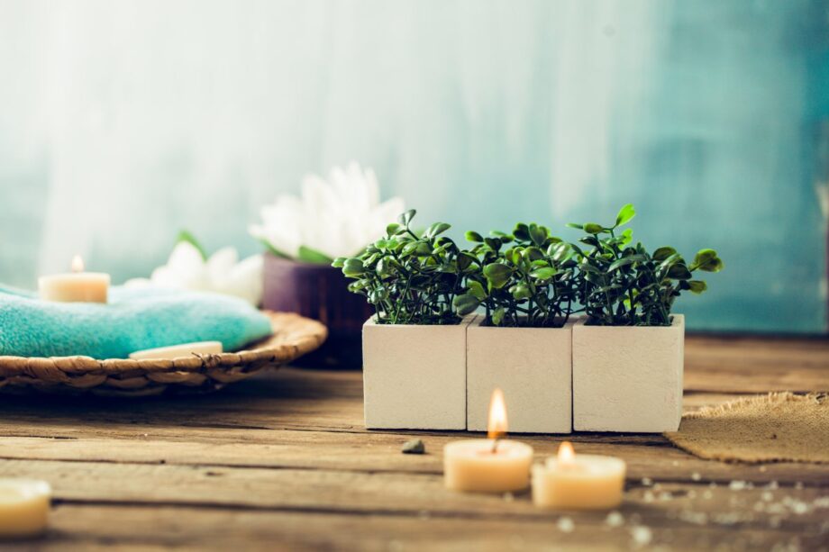 Pflanzen, die Mücken auf Terrasse und Balkon fernhalten
